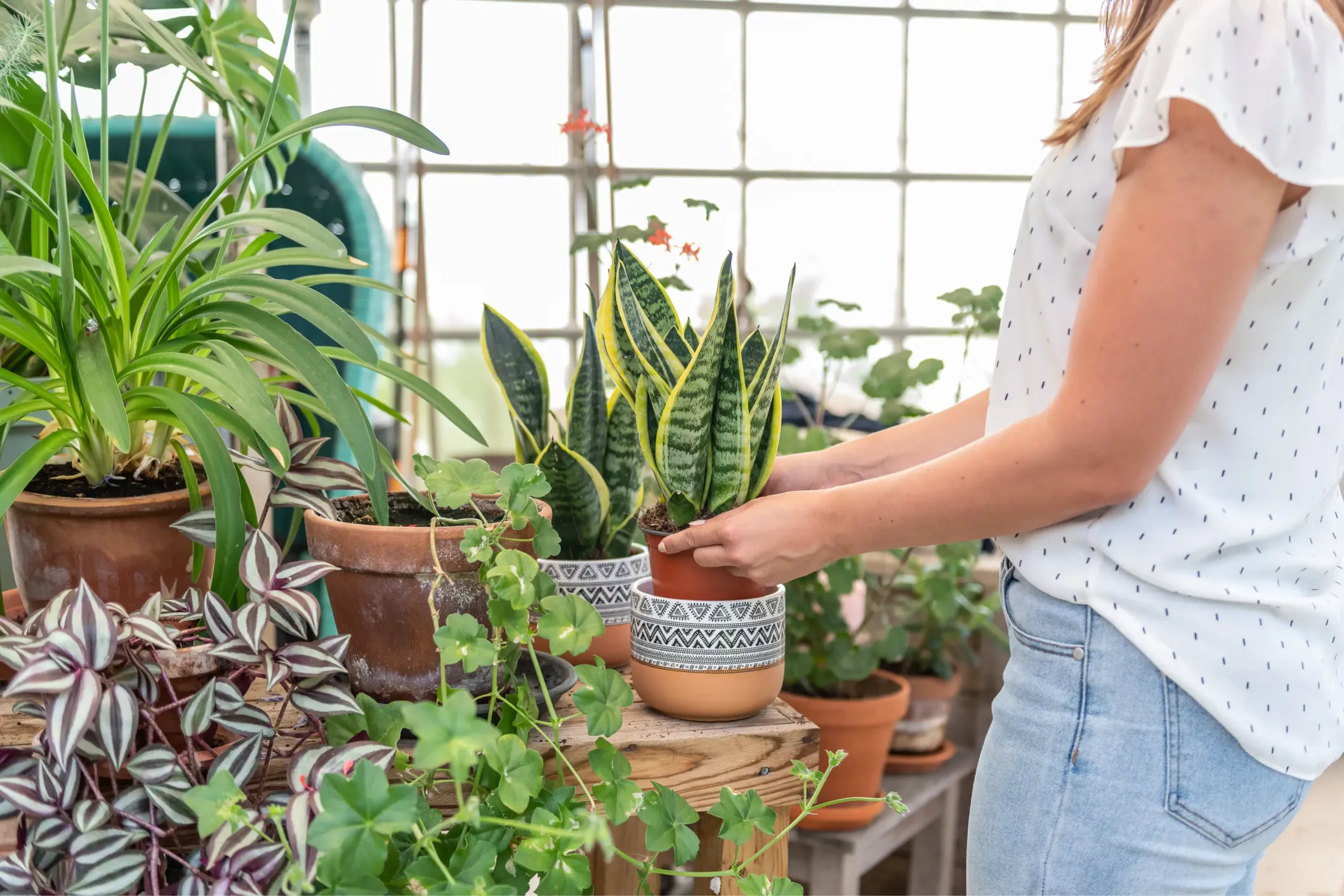 Corporate photo of a woman tending to plants