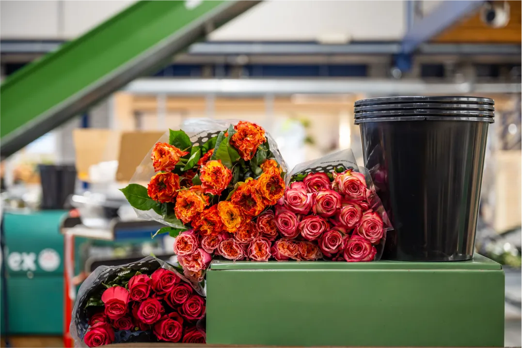 Corporate photo of a bunch of roses
