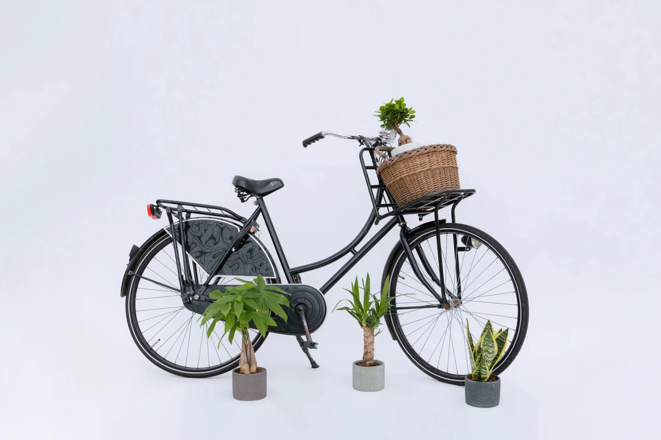 Product photo of a black bicycle with plant pots beside it
